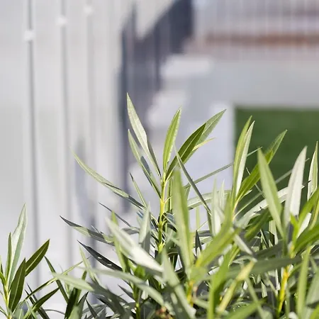 La Matta And Luxury * Sanremo