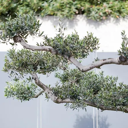 La Matta And Luxury Apartmán