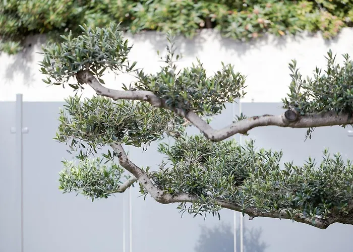 La Matta And Luxury Apartment