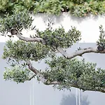 La Matta And Luxury 아파트