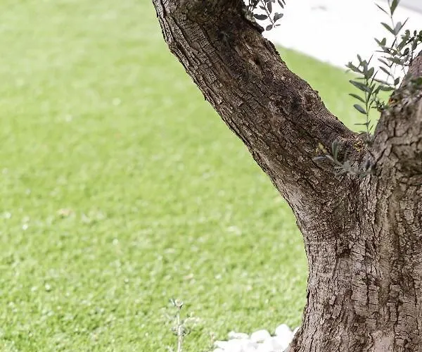 Lejlighed La Matta And Luxury